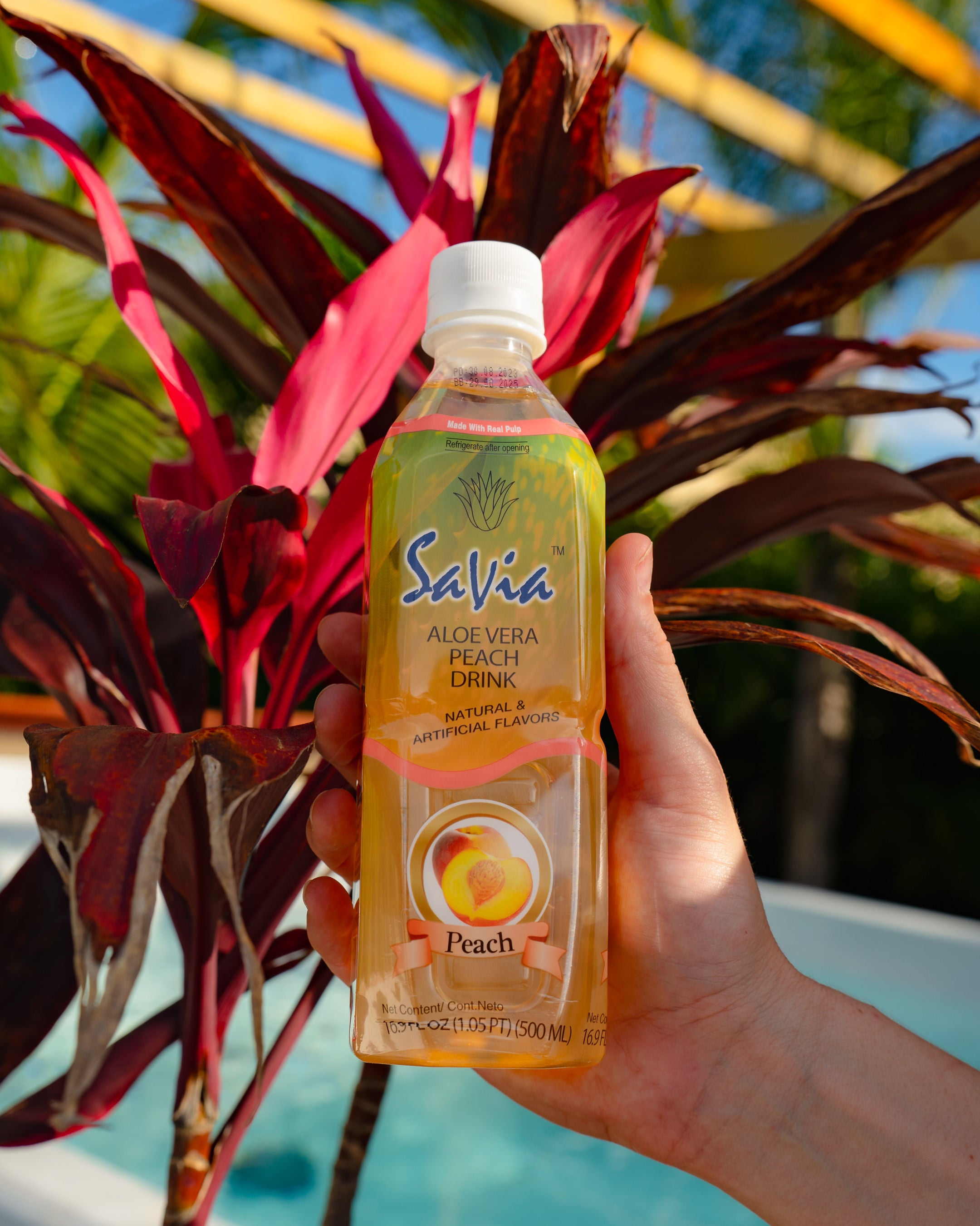 Savia - Aloe Vera Drink, Made with Real Aloe Pulp & Natural, Vegetarian, Gluten-Free, Fat- Free (4 Pack)